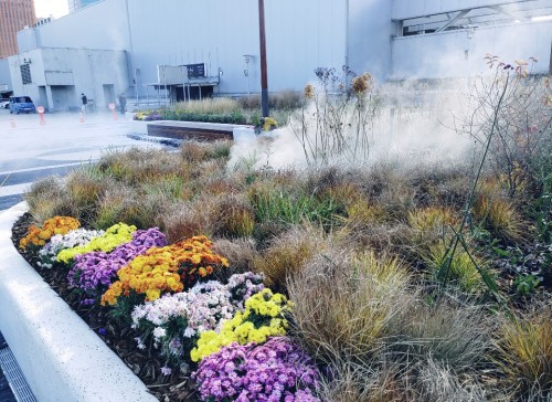 쿨링포그 시공사례 - 서울역 상부공원