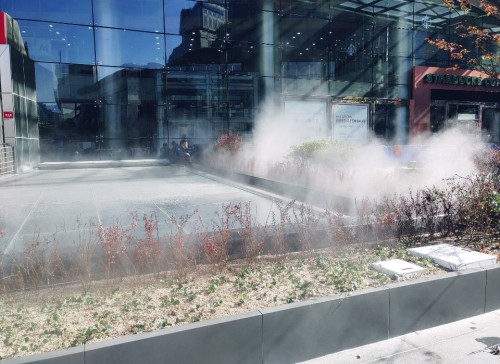 쿨링포그 시공사례 - 서울역 상부공원